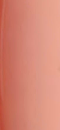 Peach Fizz /summer 6ml gel polish