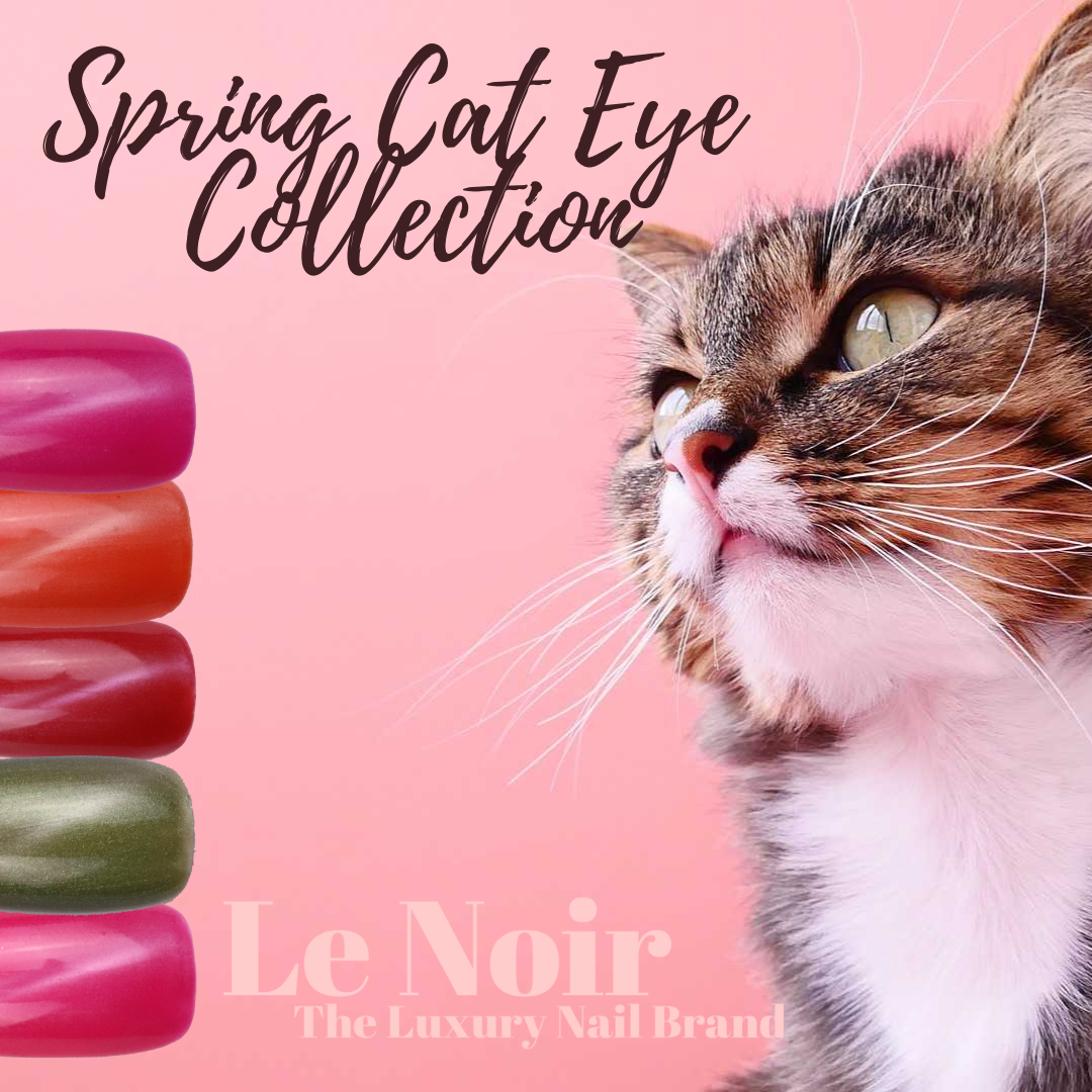 Cat Eye Collection Bundle (5pcs)
